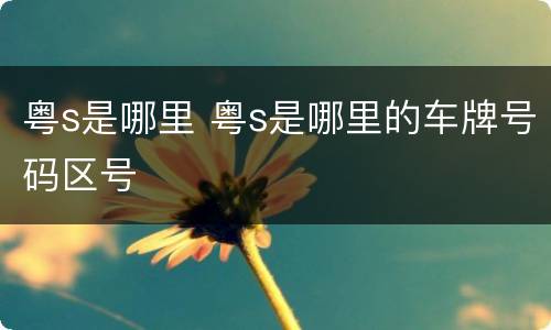粤s是哪里 粤s是哪里的车牌号码区号