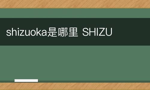 shizuoka是哪里 SHIZU