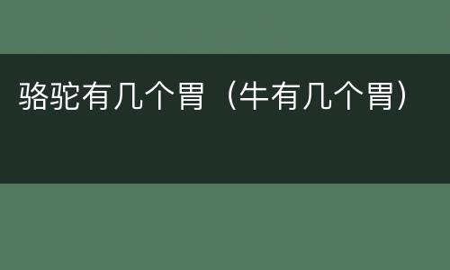 骆驼有几个胃（牛有几个胃）