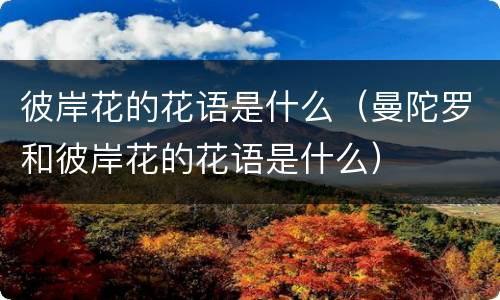 彼岸花的花语是什么（曼陀罗和彼岸花的花语是什么）