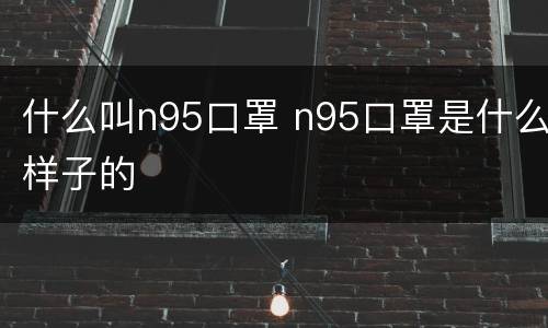 什么叫n95口罩 n95口罩是什么样子的