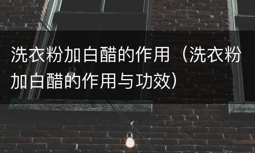 洗衣粉加白醋的作用（洗衣粉加白醋的作用与功效）