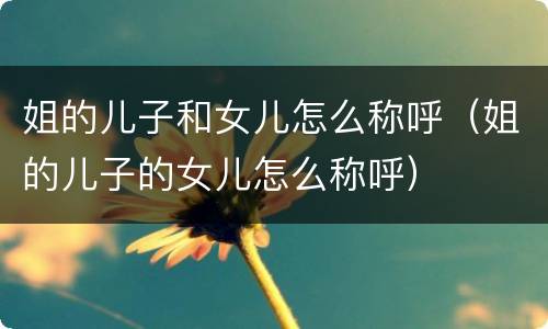 姐的儿子和女儿怎么称呼（姐的儿子的女儿怎么称呼）