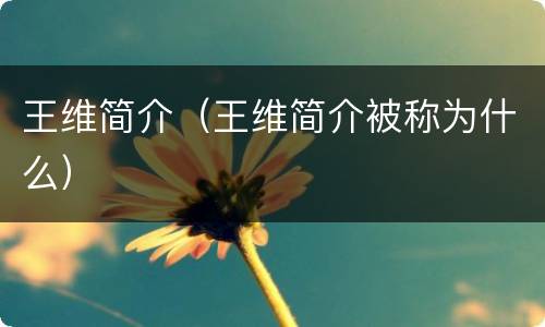 王维简介（王维简介被称为什么）