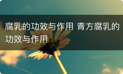 腐乳的功效与作用 青方腐乳的功效与作用