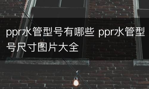 ppr水管型号有哪些 ppr水管型号尺寸图片大全