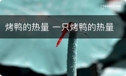 烤鸭的热量 一只烤鸭的热量