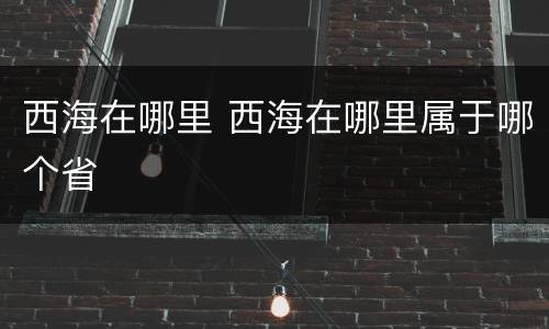 西海在哪里 西海在哪里属于哪个省