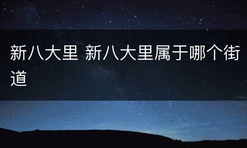 新八大里 新八大里属于哪个街道