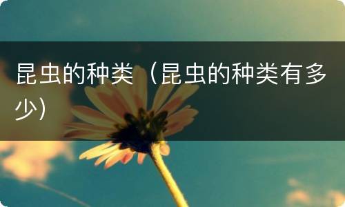 昆虫的种类（昆虫的种类有多少）