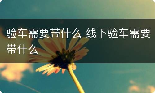 验车需要带什么 线下验车需要带什么