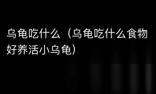 乌龟吃什么（乌龟吃什么食物好养活小乌龟）