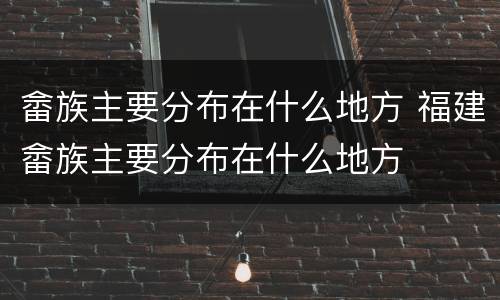 畲族主要分布在什么地方 福建畲族主要分布在什么地方