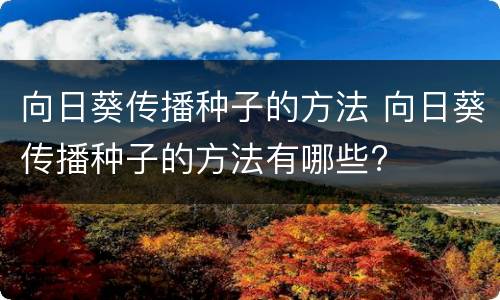 向日葵传播种子的方法 向日葵传播种子的方法有哪些?