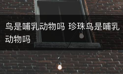 鸟是哺乳动物吗 珍珠鸟是哺乳动物吗