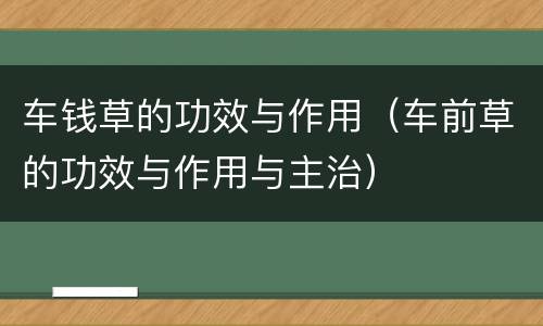 车钱草的功效与作用（车前草的功效与作用与主治）