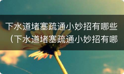 下水道堵塞疏通小妙招有哪些（下水道堵塞疏通小妙招有哪些呢）