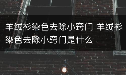 羊绒衫染色去除小窍门 羊绒衫染色去除小窍门是什么