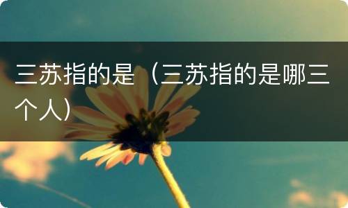 三苏指的是（三苏指的是哪三个人）
