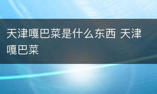 天津嘎巴菜是什么东西 天津 嘎巴菜