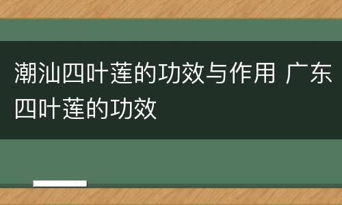 潮汕四叶莲的功效与作用 广东四叶莲的功效