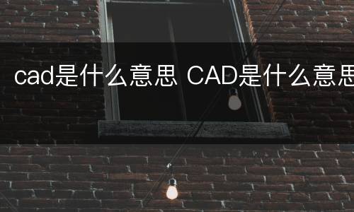 cad是什么意思 CAD是什么意思