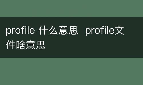 profile 什么意思  profile文件啥意思
