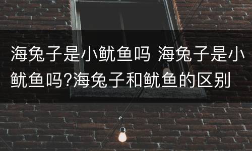 海兔子是小鱿鱼吗 海兔子是小鱿鱼吗?海兔子和鱿鱼的区别