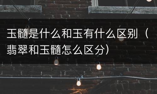 玉髓是什么和玉有什么区别（翡翠和玉髓怎么区分）