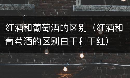 红酒和葡萄酒的区别（红酒和葡萄酒的区别白干和干红）