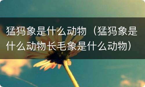 猛犸象是什么动物（猛犸象是什么动物长毛象是什么动物）