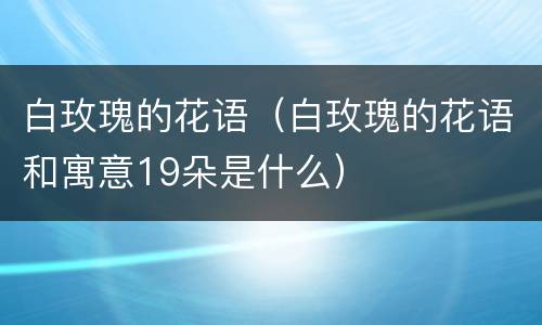 白玫瑰的花语（白玫瑰的花语和寓意19朵是什么）