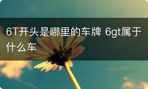 6T开头是哪里的车牌 6gt属于什么车