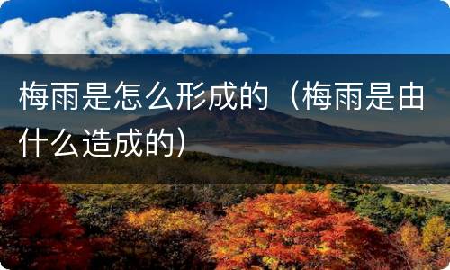 梅雨是怎么形成的（梅雨是由什么造成的）
