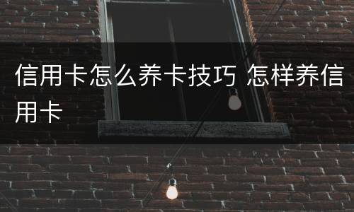 信用卡怎么养卡技巧 怎样养信用卡