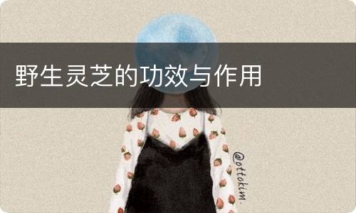 野生灵芝的功效与作用