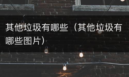 其他垃圾有哪些（其他垃圾有哪些图片）