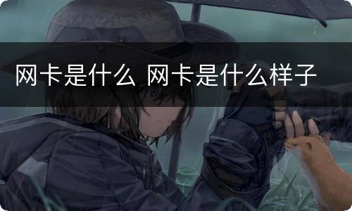 网卡是什么 网卡是什么样子