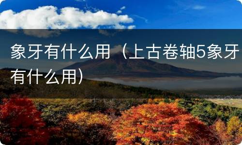 象牙有什么用（上古卷轴5象牙有什么用）