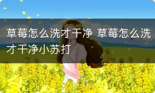 草莓怎么洗才干净 草莓怎么洗才干净小苏打