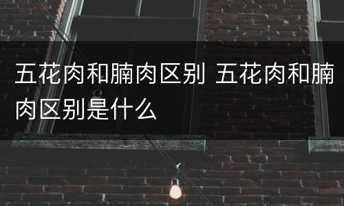 五花肉和腩肉区别 五花肉和腩肉区别是什么