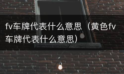 fv车牌代表什么意思（黄色fv车牌代表什么意思）