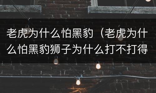 老虎为什么怕黑豹（老虎为什么怕黑豹狮子为什么打不打得过老虎?）