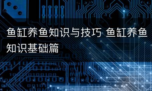 鱼缸养鱼知识与技巧 鱼缸养鱼知识基础篇