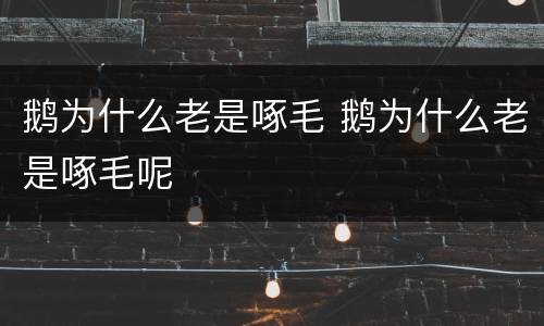 鹅为什么老是啄毛 鹅为什么老是啄毛呢
