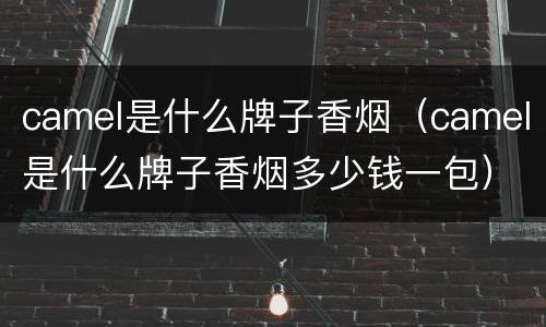 camel是什么牌子香烟（camel是什么牌子香烟多少钱一包）