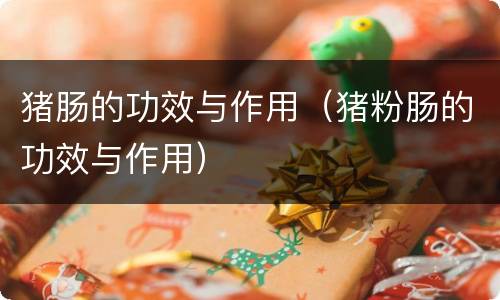 猪肠的功效与作用（猪粉肠的功效与作用）