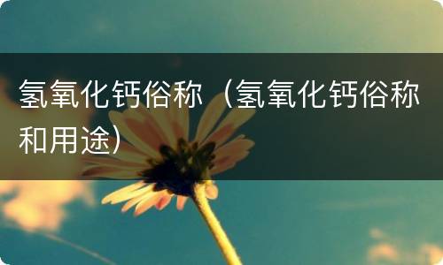 氢氧化钙俗称（氢氧化钙俗称和用途）