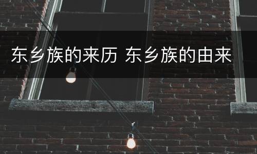 东乡族的来历 东乡族的由来