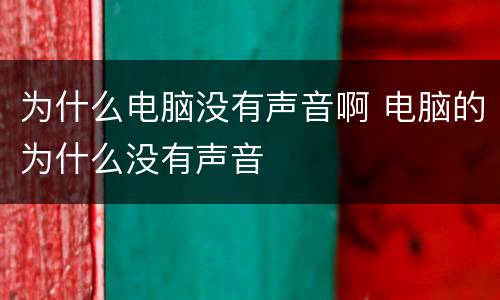 为什么电脑没有声音啊 电脑的为什么没有声音